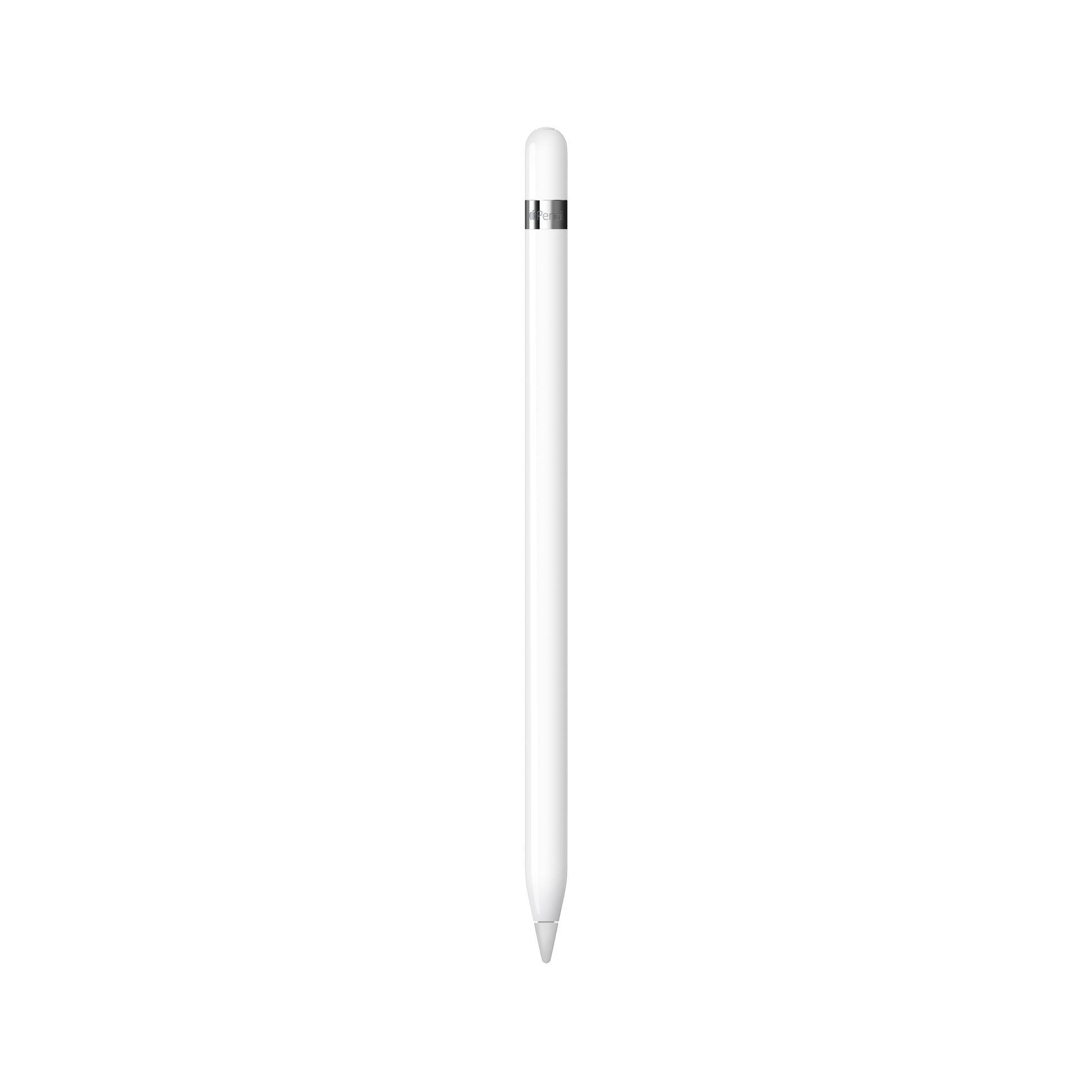 قلم Apple Pencil الجيل الأول باللون الأبيض على خلفية بيضاء